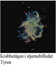 krabbetgen